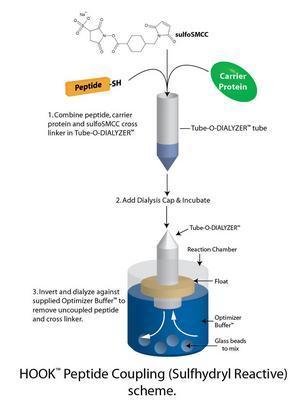 Peptide Coupling Kits, G-Biosciences