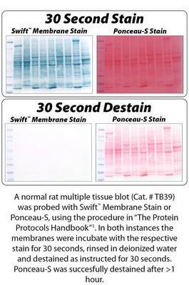 Swift™ Membrane Stain, G-Biosciences