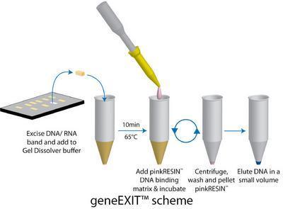 geneEXIT™ for Isolation of Nucleic Acids from Agarose Gels, G-Biosciences