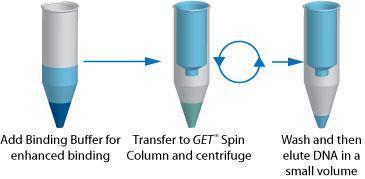 GET™ CLEAN DNA for PCR Clean Up & Removal of Restriction Enzymes, G-Biosciences