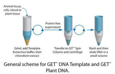 GET™ DNA Template for Spin Column Genomic DNA Isolation, G-Biosciences