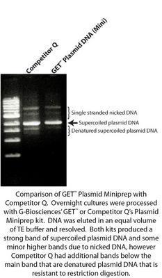 GET™ Plasmid DNA for Plasmid DNA Isolation, G-Biosciences