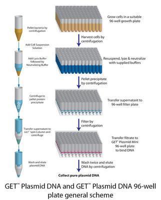 GET™ Plasmid DNA for Plasmid DNA Isolation, G-Biosciences