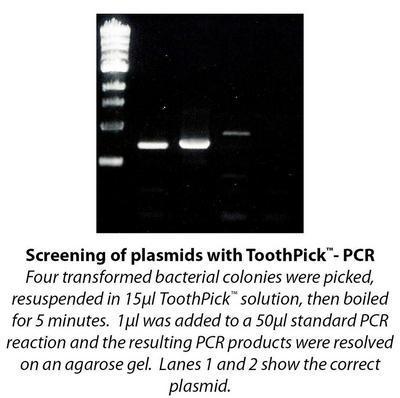 Toothpick™ Systems for Rapid Colony Screening by Restriction Digestion or PCR, G-Biosciences