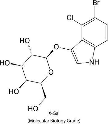 Molecular Biology Reagents, G-Biosciences