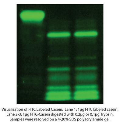 HOOK™ Dye Labeling Kit (FITC) for Labeling Antibodies & Proteins with Fluorescent Dyes, G-Biosciences