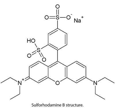 CytoScan™ SRB Cytotoxicity Assay, G-Biosciences