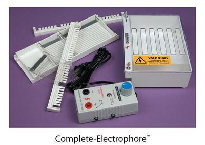 Geno-ElectroPhore™ Mini Horizontal Gel Electrophoresis System, G-Biosciences