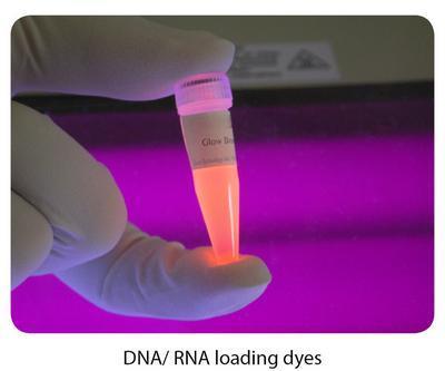 Glow™ and Universal Gel Loading Dyes, G-Biosciences