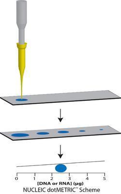 NUCLEIC dotMETRIC™ Assay for Rapid Estimation of DNA, RNA and Oligo Concentrations, G-Biosciences