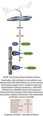 HOOK™ Cell Surface Protein Isolation, Complete Labeling & Isolation Kit, G-Biosciences