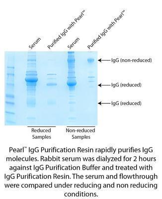 Pearl™ IgG Purification, G-Biosciences