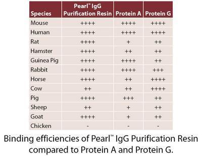 Pearl™ IgG Purification, G-Biosciences