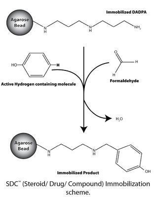 SDC™ (Steroid/Drug/Compound) Immobilization Kit, G-Biosciences