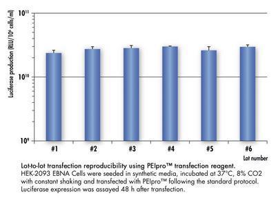 PEIpro™ Transfection Reagent, Polyplus-transfection