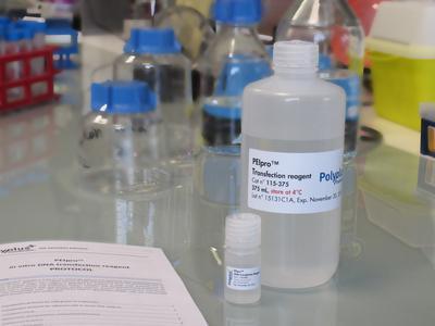 PEIpro™ Transfection Reagent, Polyplus-transfection