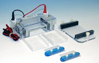 Mini Horizontal Productivity Package, CBS Scientific