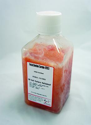 Fetal Bovine Serum (FBS)