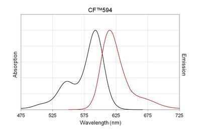 CF™594 Secondary Antibody Conjugates, Biotium