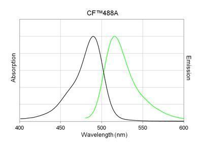 CF™488A Secondary Antibody Conjugates, Biotium