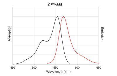 CF™555 Secondary Antibody Conjugates, Biotium