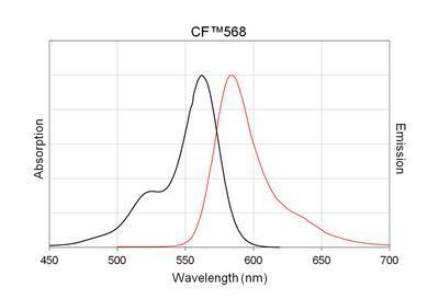 CF™568 Secondary Antibody Conjugates, Biotium