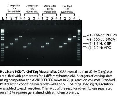 PCR-To-Gel Taq Master Mix, 2X, AMRESCO