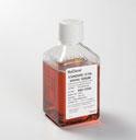 Standard Fetal Bovine Serum, US Origin, Heat Inactivated, Thermo Scientific