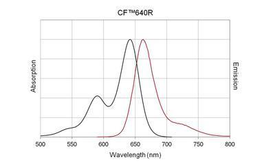 CF™640R Secondary Antibody Conjugates, Biotium