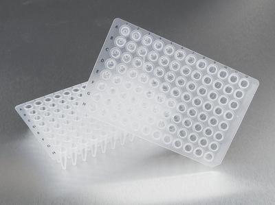 PCR Plates, Sorenson BioScience®