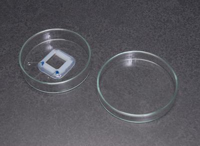 Petri Dish Tissue Chambers, BTX™