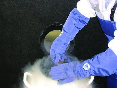 VWR® CryoGuard Cryogenic Gloves