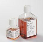 HyClone Fetal Bovine Serum, U.S. Origin, Thermo Scientific