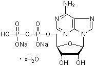 Adenosine 5'-Diphosphate Disodium Salt Hydrate, Min 98.0% (N), TCI America