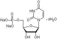 Uridine 5'-Monophosphate Disodium Salt Hydrate, Min 98.0% (HPLC)