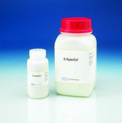 SORBENT ION EXCHANGE S HYPERCEL 1L