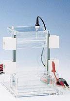 CBS LITE Vertical Electrophoresis Slab Gel System, CBS Scientific