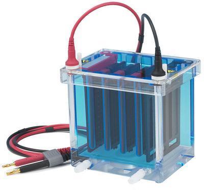 Electrophoretic Blotting Systems, C.B.S. Scientific