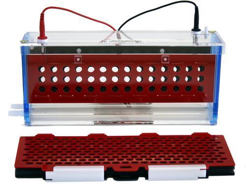 Electrophoretic Blotting Systems, C.B.S. Scientific