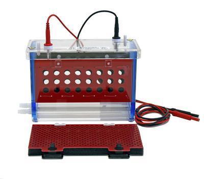 Electrophoretic Blotting Systems, C.B.S. Scientific