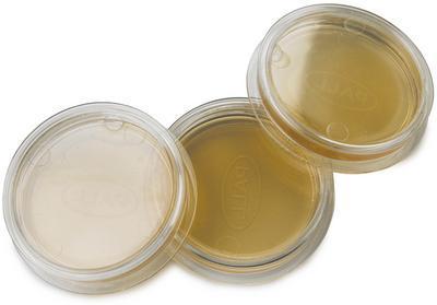 m-TEC, Modified, Prepared Agar Plates, Hach®