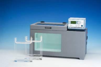 Mutation Detection Screening Systems - DDGE, TTGE, SSCP, CBS Scientific