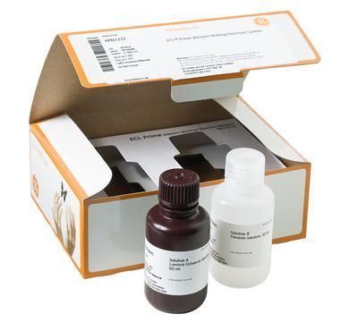 Amersham ECL Prime Western Blotting Detection Reagent