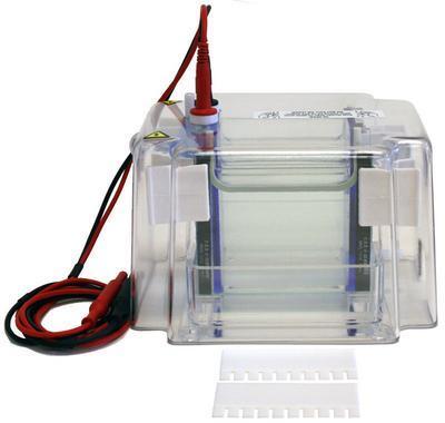 Vertical Mini Gel Systems, CBS Scientific