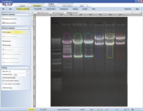 BioSpectrum Imaging Systems, UVP® LLC