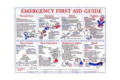 FIRST AID POSTER 18X24IN