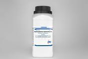 GR ACS Hydroxylamine Hydrochloride