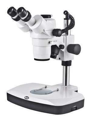 Motic SMZ-168-TL Trinocular Stereo Microscope, Motic Instruments.