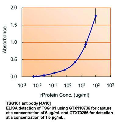 RPA32 antibody - 100µl, GeneTex