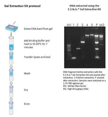 E.Z.N.A.® Gel Extraction Kits, Omega Bio-tek